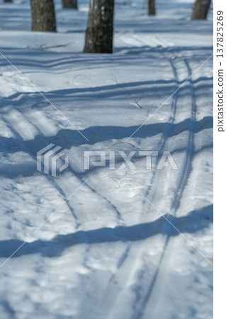 Exploring snowcovered forest terrains alone. Journey through lone icy woodland routes in winter. Navigating secluded snowladen forest trails during cold winter days 137825269