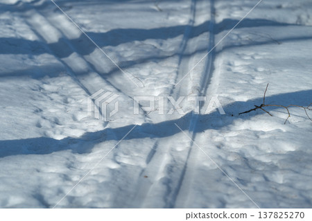 Parallel ski tracks across sunlit snow in birch forest with long blue shadows, crisp texture, gentle undulations evokes earlymorning solitude and slow outdoor wellness Parallel ski tracks across sunlit snow in birch forest with long blue shadows, crisp texture, gentle undulations evokes earlymorning solitude and slow outdoor wellness 137825270