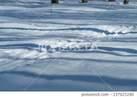Snowy forest trail. Winter path through snowcovered woods. Quiet crosscountry route amid frosty trees. Serene ski trail winding through snowdraped forest landscape 137825280