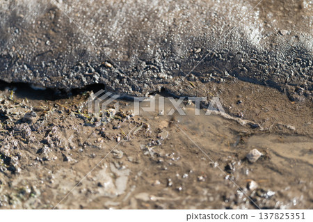 Cracked ice panels over muddy banks. Eroding ice and soil reveal dynamic seasonal processes. Seasonal erosion captured through fractured ice and saturated soil movement Cracked ice panels over muddy banks. Eroding ice and soil reveal dynamic seasonal processes. Seasonal erosion captured through fractured ice and saturated soil movement 137825351