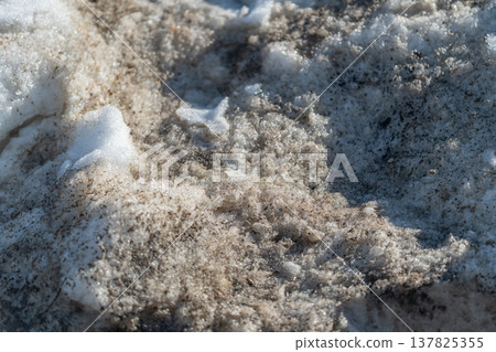 Snow transforms soil. Winter snow gradually nurtures ground. Falling snow slowly enriches earth during spring. Snow gently dissolves into fertile soil as seasons change and pass by 137825355