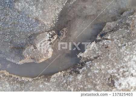 Winding water runs through snow. Sinuous streams carve cold snow fields. Seasonal temperature changes create intricate snow melt pathways and contrasting icy textures 137825403