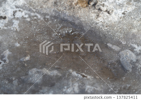 Melted snow with muddy puddles. Overcast day revealing melting snow and gritty city streets. Grainy ice crystals and muddy puddles decorate overcast urban environment 137825411