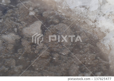 Spring ice melting. Gritty terrain with melting snow and sediment accumulation. Scientists collecting samples from springtime melting ice in earthy and gritty surroundings 137825477