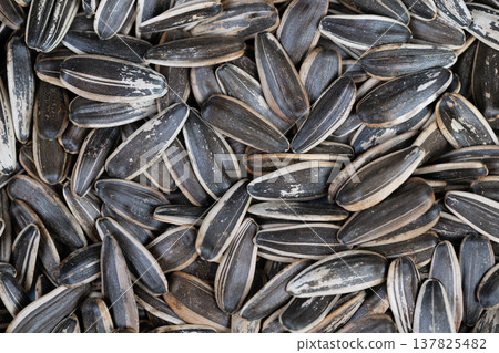 Detailed image showcasing nutritious salted sunflower seed crunch. Highresolution photograph emphasizing health benefits and flavorful texture of salted sunflower seeds Detailed image showcasing nutritious salted sunflower seed crunch. Highresolution photograph emphasizing health benefits and flavorful texture of salted sunflower seeds 137825482