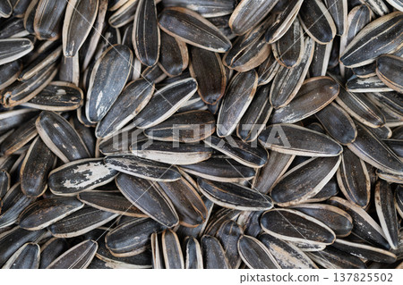Roasted sunflower seeds ingredient background, clean neutral palette, versatile for culinary recipes, packaging backdrops, close grainy texture, subtle salt sheen Roasted sunflower seeds ingredient background, clean neutral palette, versatile for culinary recipes, packaging backdrops, close grainy texture, subtle salt sheen 137825502