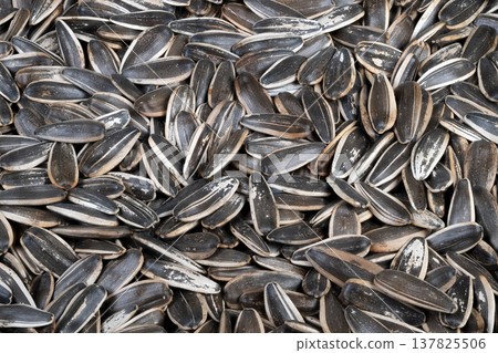 Roasted sunflower seeds artisan salted snack, warm tones, handroasted suggestion, rustic appeal, textured shells with salt flakes, perfect for specialty food promotion Roasted sunflower seeds artisan salted snack, warm tones, handroasted suggestion, rustic appeal, textured shells with salt flakes, perfect for specialty food promotion 137825506