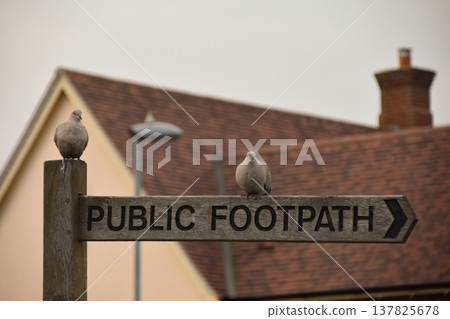 Public Footpath Sign with Two Pigeons in Wivenhoe, Essex 137825678