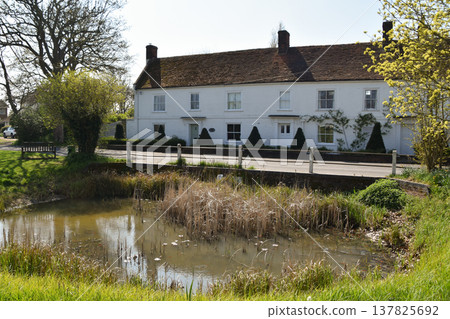 Pond and cottages on Great Bentley Village Green in Essex Pond and cottages on Great Bentley Village Green in Essex 137825692