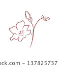 Elegant floral contour with blooming flower and buds in minimalist style 137825737