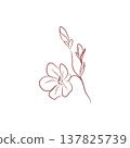 Elegant floral contour with blooming flower and buds in minimalist style 137825739