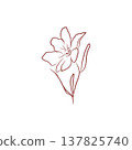 Elegant floral contour with blooming flower and buds in minimalist style 137825740