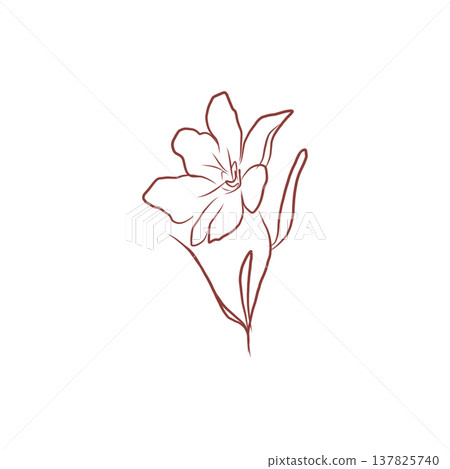 Elegant floral contour with blooming flower and buds in minimalist style Elegant floral contour with blooming flower and buds in minimalist style 137825740