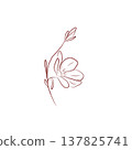 Elegant floral contour with blooming flower and buds in minimalist style 137825741