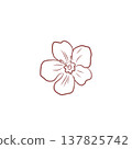 Elegant floral contour with blooming flower and buds in minimalist style 137825742