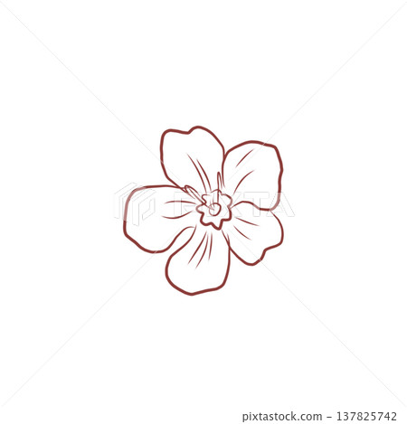 Elegant floral contour with blooming flower and buds in minimalist style 137825742