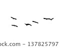 black silhouette flock of birds backlit  Isolate on transparent background PNG file 137825797