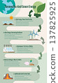 infographic of renewable and green energy , eco friendly, environment protection, flat design 137825925