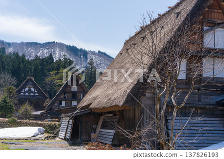 白川鄉（岐阜縣）的合掌造房屋和山景 137826193