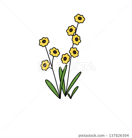Bright yellow flowers bloom with dark centers Bright yellow flowers bloom with dark centers 137826304