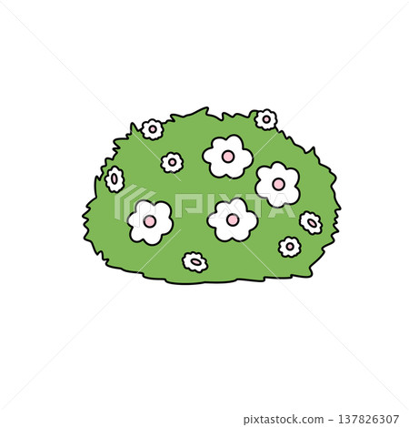 Green bush blooms with white flowers Green bush blooms with white flowers 137826307