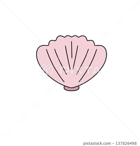 Soft pink shell rests against plain white background Soft pink shell rests against plain white background 137826498