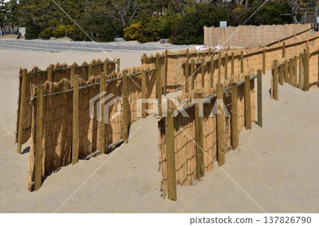 A reed fence installed on the sandy beach of the seaside park. A reed fence installed on the sandy beach of the seaside park. 137826790