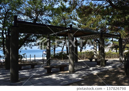 A pergola in a coastal park, seen through pine trees. A pergola in a coastal park, seen through pine trees. 137826798