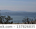 A vertical view of the Seto Inland Sea and mountains seen through pine trees. 137826835