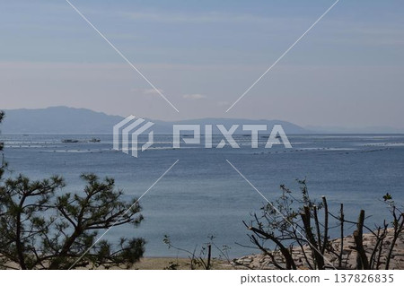 透過松樹看到的瀨戶內海和山脈的垂直視角。 透過松樹看到的瀨戶內海和山脈的垂直視角。 137826835