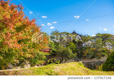 瑞巖寺五大堂，以絢麗的秋葉和湛藍的秋空為背景，位於宮城縣松島町。 137827188