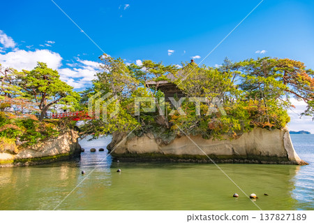 宮城縣松島町：五大堂，日本三大名勝的象徵，在晴朗的秋日天空下漂浮在松島灣。 137827189