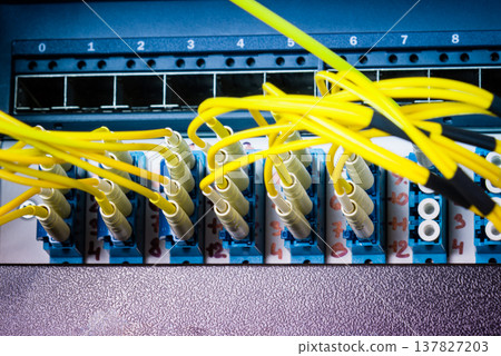 fiber optic cables connected into main data switch fiber optic cables connected into main data switch 137827203