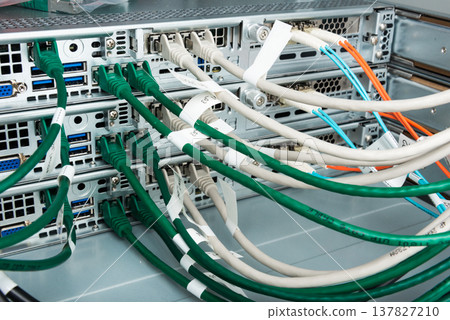 Fiber Optic cables connected to optic ports, network cables conn Fiber Optic cables connected to optic ports, network cables conn 137827210