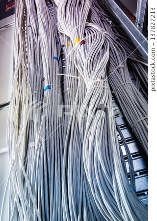 bunch of network cables in wave pattern leading across server ro bunch of network cables in wave pattern leading across server ro 137827213