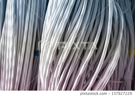 bunch of network cables in wave pattern leading across server ro bunch of network cables in wave pattern leading across server ro 137827229