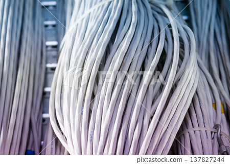 bunch of network cables in wave pattern leading across server ro bunch of network cables in wave pattern leading across server ro 137827244