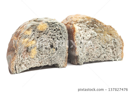 white bread with mold isolated on white background white bread with mold isolated on white background 137827476