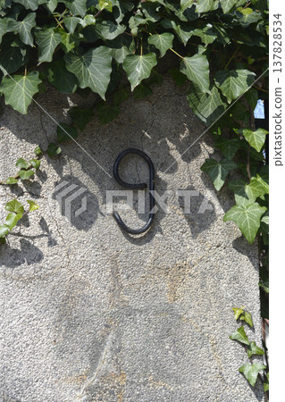 House number nine on a stone wall with ivy 137828534