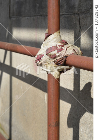 Painted metal pipe joint tied with weathered cloth 137828542