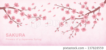 Sakura_Watercolor Banner 137828559