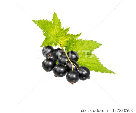 Black currant isolated. Currant black berry with leaves on white 137828598