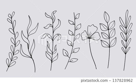 Hand Drawn Leaves and Flowers Line Art Drawing Collection Nature.Vector Illustration Hand Drawn Leaves and Flowers Line Art Drawing Collection Nature.Vector Illustration 137828962