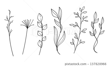 Hand drawn floral minimal elements in line art style. Greenery for decoration, wild and garden plants, branches, leaves Hand drawn floral minimal elements in line art style. Greenery for decoration, wild and garden plants, branches, leaves 137828966