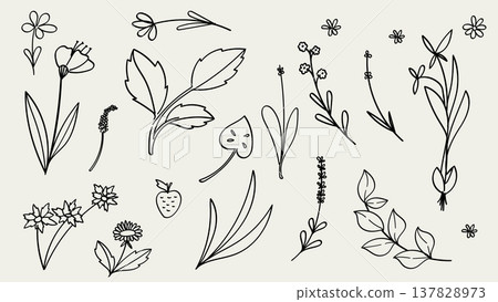 Retro Floral and Flowers Line Hand Drawn Collection. Vector Illustration 137828973