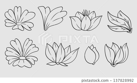 Flower Bud and Flowers Leaves Hand Drawn Line Collection.Vector Illustration 137828992