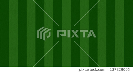 Green Grass Soccer Top View Stadium Pitch Background Grass Tiff Pattern Realistic Sport Ground Texture for Football and Baseball Games.Vector Illustration 137829005
