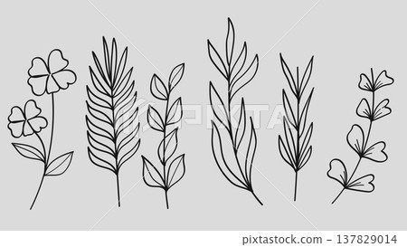 Botanical Leaves Hand Drawn Line Art Set Vintage Leaves Tropical Element collection Botanical Leaves Hand Drawn Line Art Set Vintage Leaves Tropical Element collection 137829014