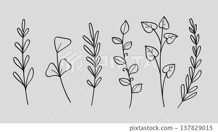 Botanical Minimalist Leaf Branch and Wild Meadow Plant Floral Line Art Hand Drawn Set. 137829015
