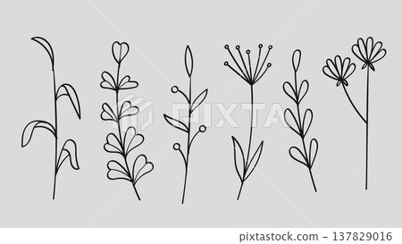 Botanical Wildflower and Minimalist Meadow Plant Floral Line Art Hand Drawn Set.Vector Illustration Botanical Wildflower and Minimalist Meadow Plant Floral Line Art Hand Drawn Set.Vector Illustration 137829016